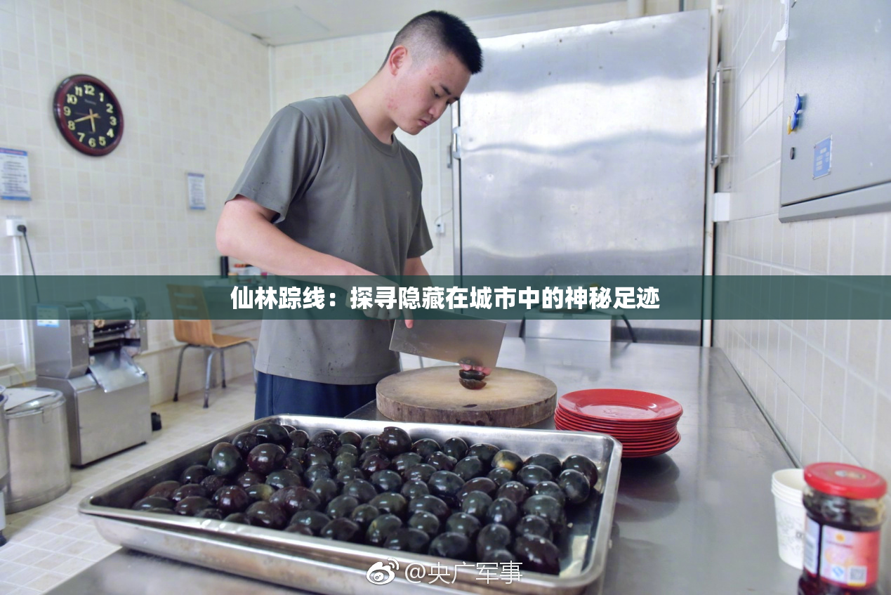 仙林踪线：探寻隐藏在城市中的神秘足迹