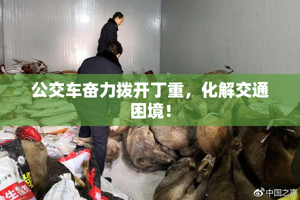 公交车奋力拨开丁重，化解交通困境！