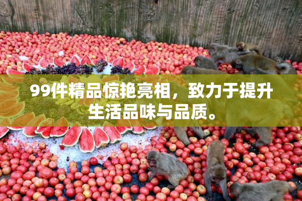 99件精品惊艳亮相，致力于提升生活品味与品质。
