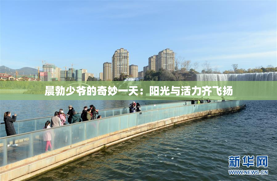 晨勃少爷的奇妙一天：阳光与活力齐飞扬