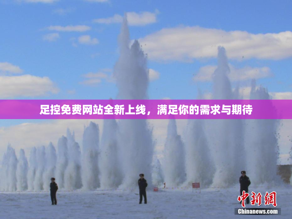 足控免费网站全新上线，满足你的需求与期待