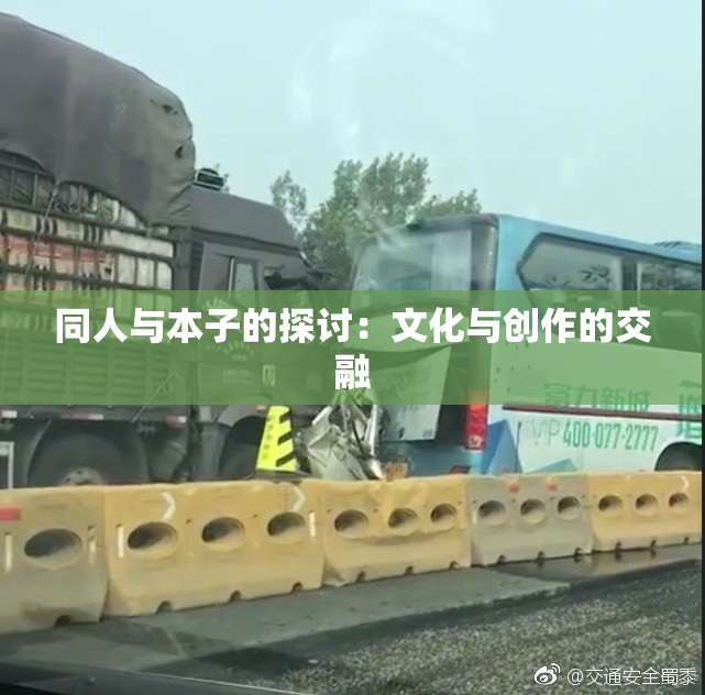 同人与本子的探讨：文化与创作的交融