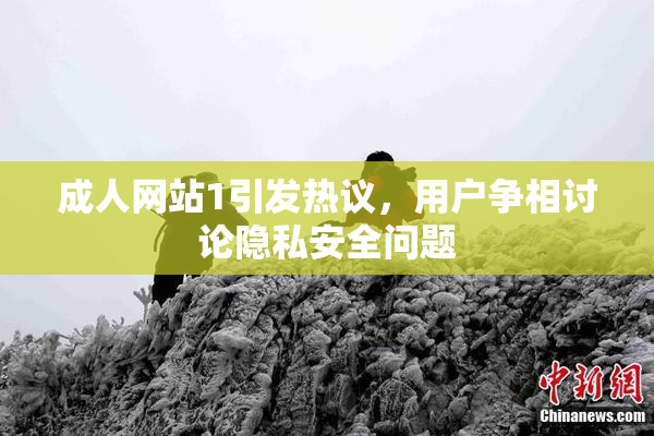 成人网站1引发热议，用户争相讨论隐私安全问题
