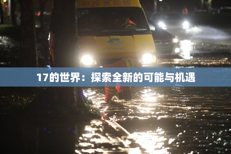 17的世界：探索全新的可能与机遇