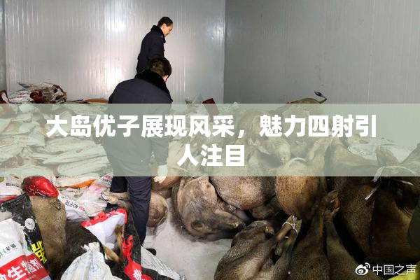 大岛优子展现风采，魅力四射引人注目