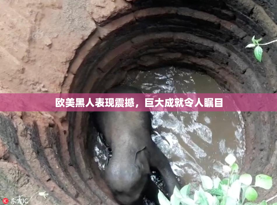 欧美黑人表现震撼，巨大成就令人瞩目