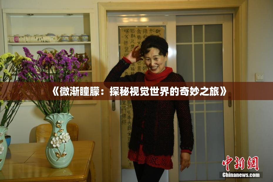 《微渐瞳朦：探秘视觉世界的奇妙之旅》