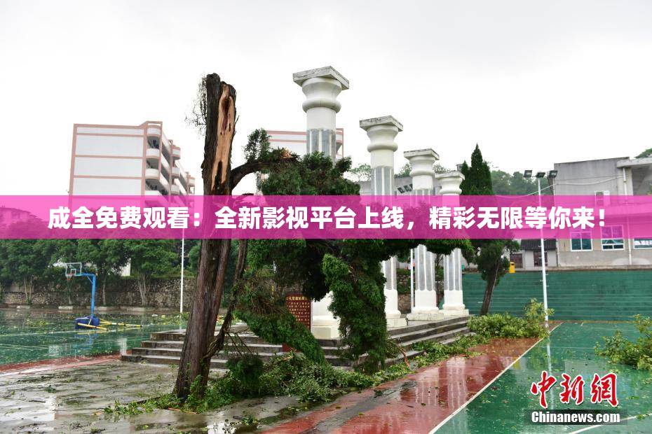 成全免费观看：全新影视平台上线，精彩无限等你来！