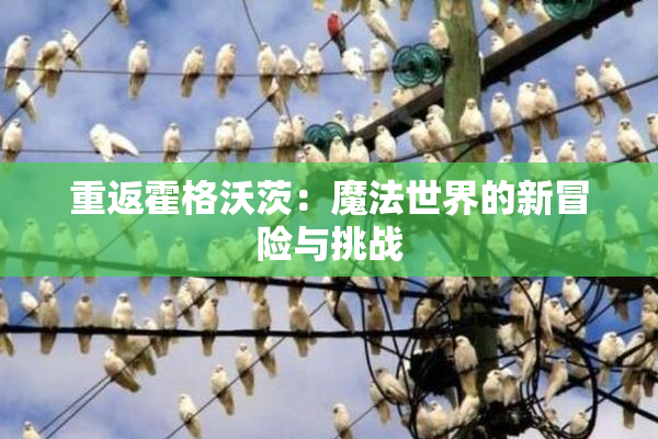 重返霍格沃茨：魔法世界的新冒险与挑战