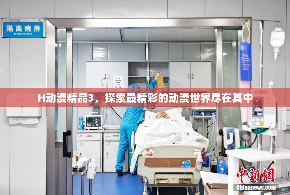 H动漫精品3，探索最精彩的动漫世界尽在其中