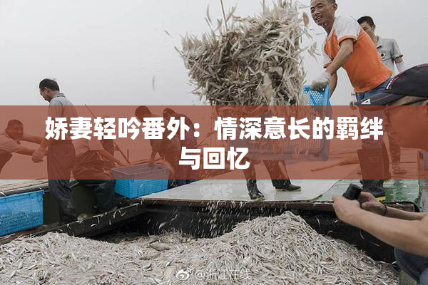 娇妻轻吟番外：情深意长的羁绊与回忆