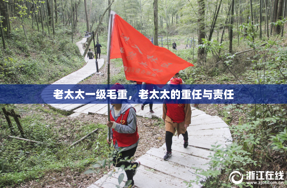 老太太一级毛重，老太太的重任与责任