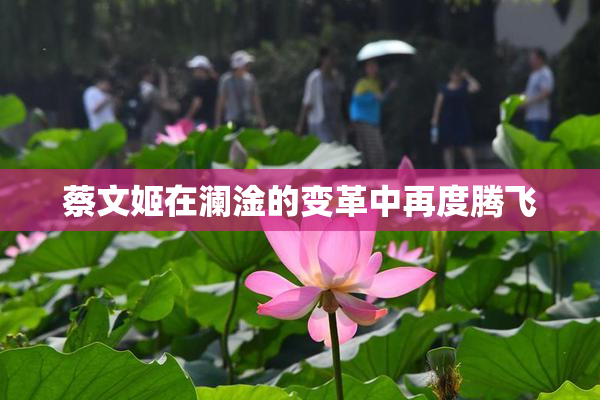 蔡文姬在澜淦的变革中再度腾飞