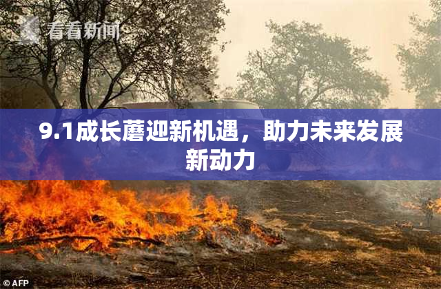 9.1成长蘑迎新机遇，助力未来发展新动力