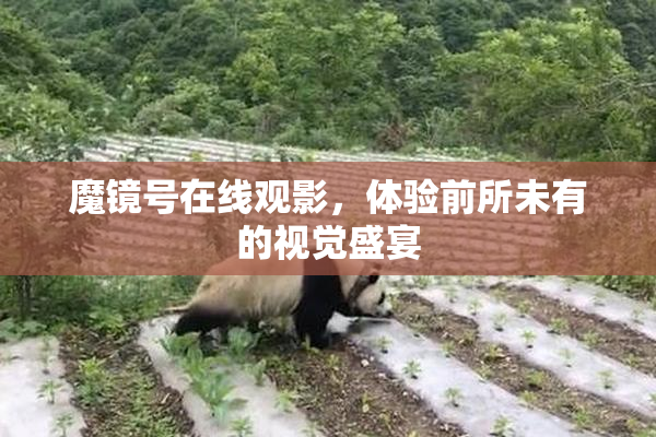 魔镜号在线观影，体验前所未有的视觉盛宴