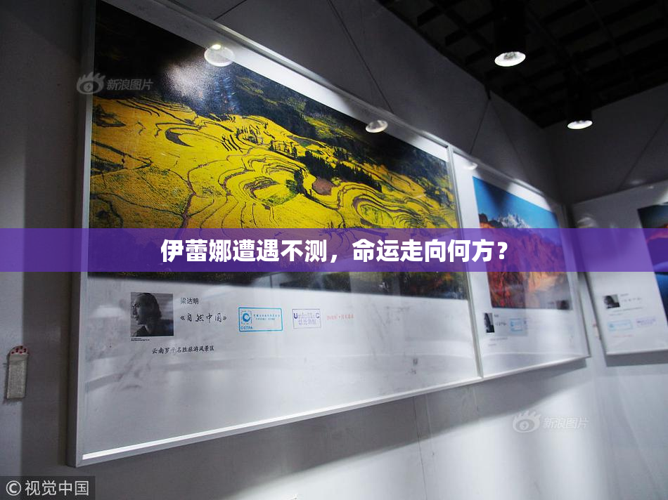 伊蕾娜遭遇不测，命运走向何方？