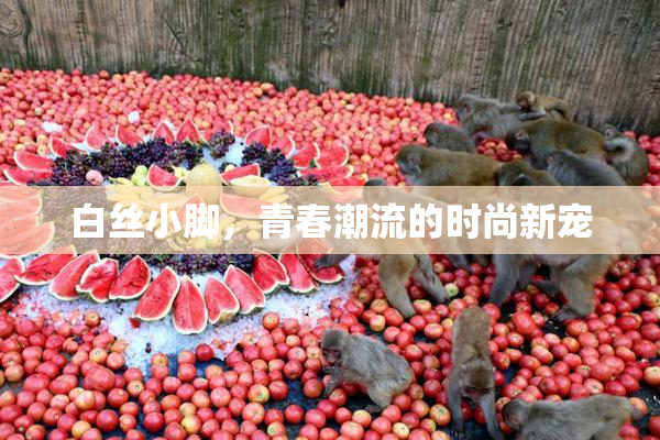 白丝小脚，青春潮流的时尚新宠