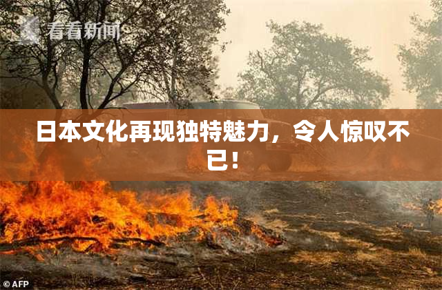 日本文化再现独特魅力，令人惊叹不已！