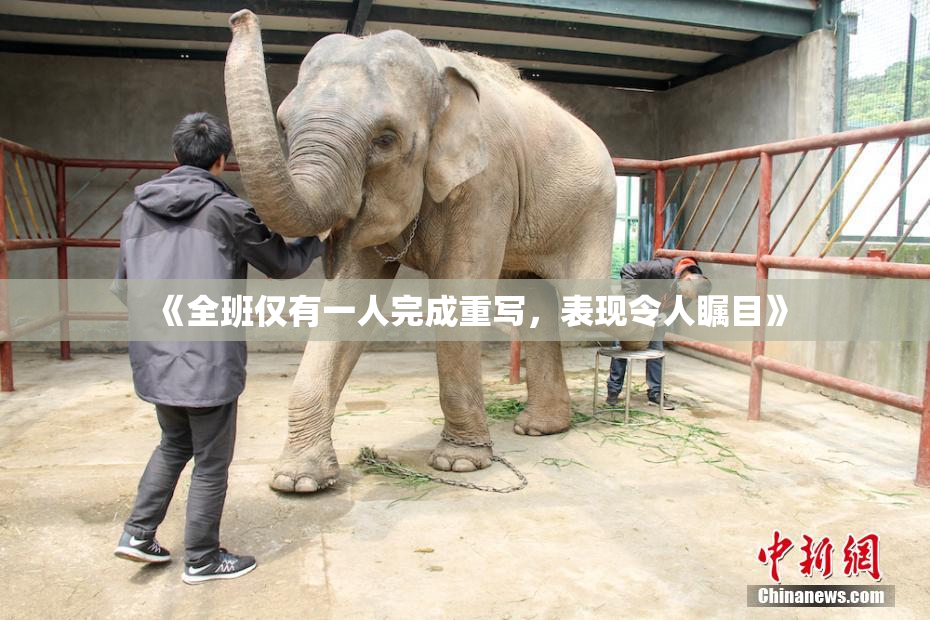 《全班仅有一人完成重写，表现令人瞩目》