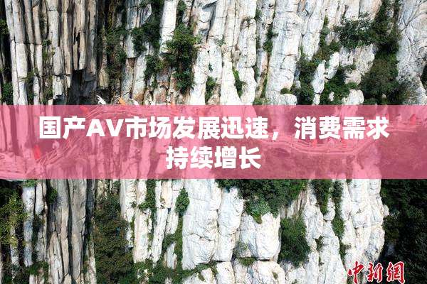 国产AV市场发展迅速，消费需求持续增长