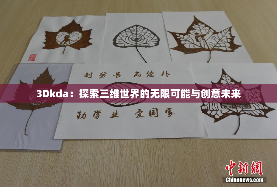 3Dkda：探索三维世界的无限可能与创意未来