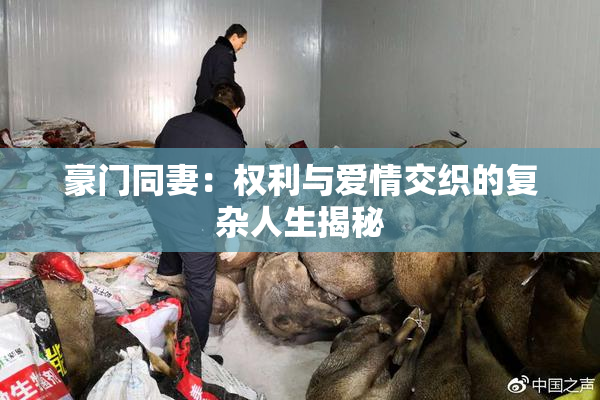 豪门同妻：权利与爱情交织的复杂人生揭秘