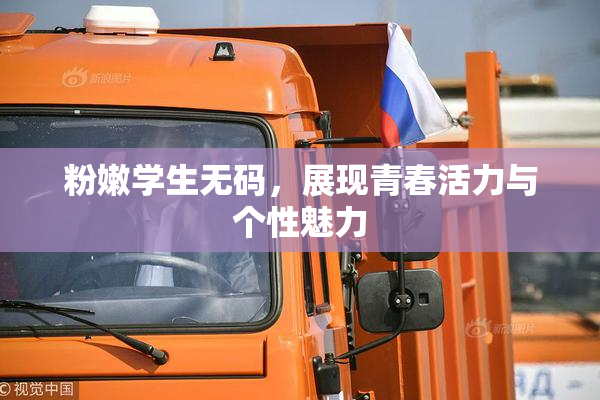 粉嫩学生无码，展现青春活力与个性魅力