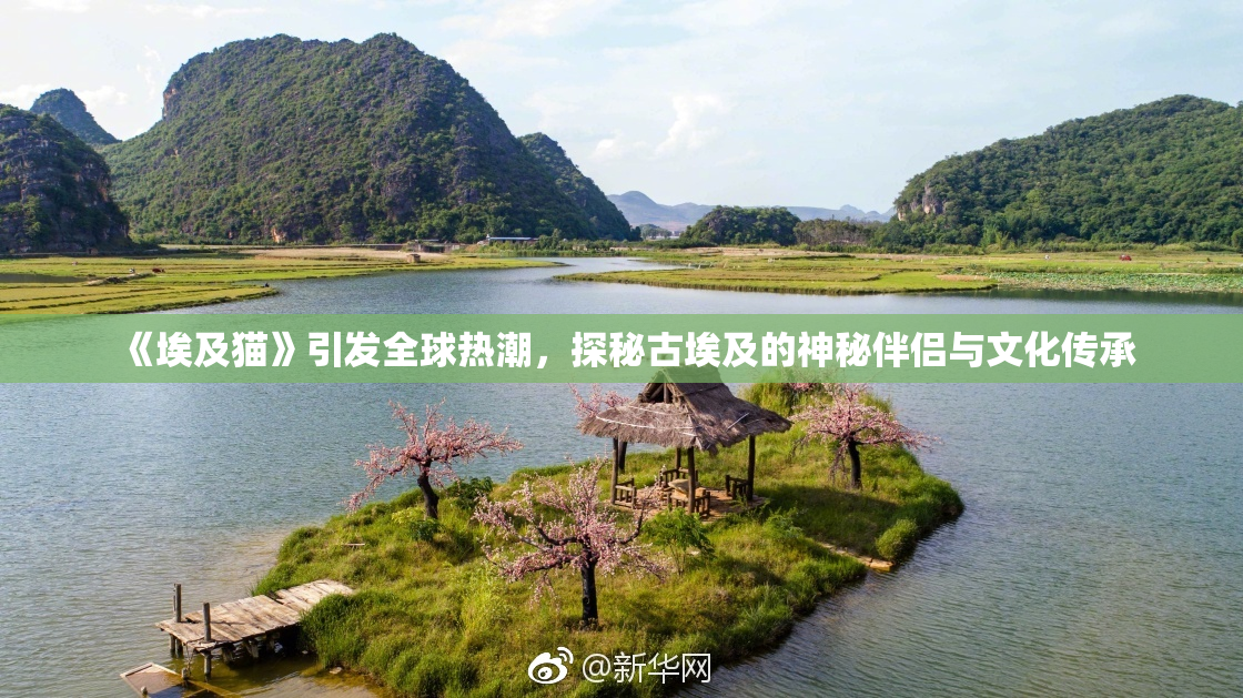 《埃及猫》引发全球热潮，探秘古埃及的神秘伴侣与文化传承