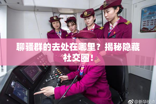 聊骚群的去处在哪里？揭秘隐藏社交圈！