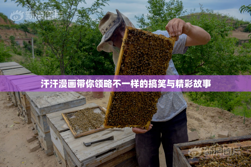 汗汗漫画带你领略不一样的搞笑与精彩故事