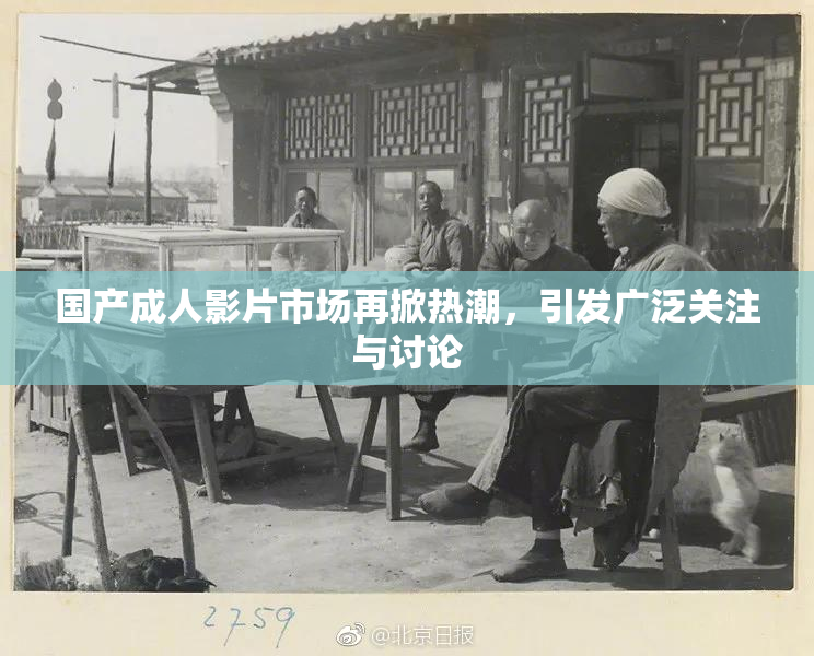 国产成人影片市场再掀热潮，引发广泛关注与讨论