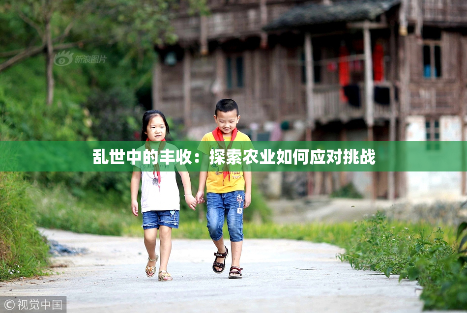 乱世中的丰收：探索农业如何应对挑战