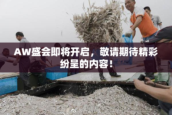 AW盛会即将开启，敬请期待精彩纷呈的内容！