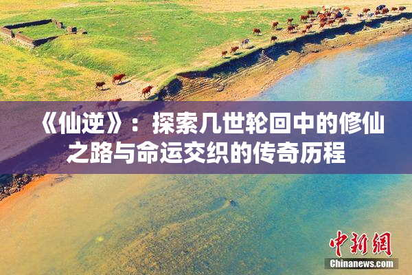 《仙逆》：探索几世轮回中的修仙之路与命运交织的传奇历程