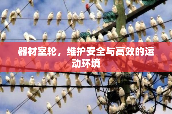 器材室轮，维护安全与高效的运动环境