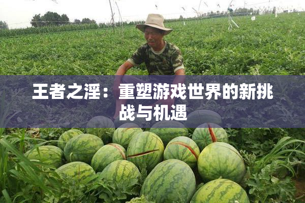 王者之淫：重塑游戏世界的新挑战与机遇