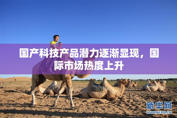 国产科技产品潜力逐渐显现，国际市场热度上升