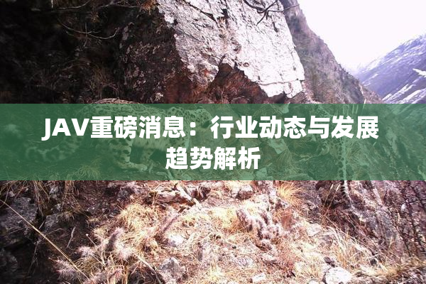 JAV重磅消息：行业动态与发展趋势解析