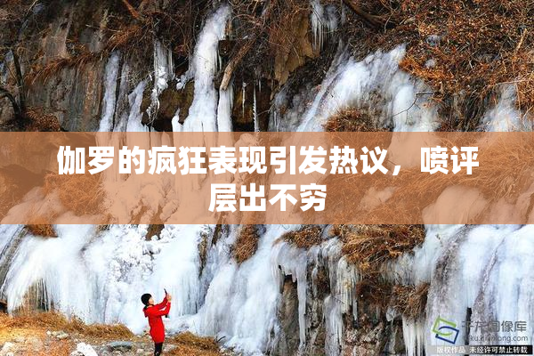 伽罗的疯狂表现引发热议，喷评层出不穷