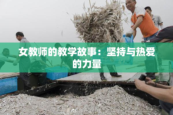 女教师的教学故事：坚持与热爱的力量