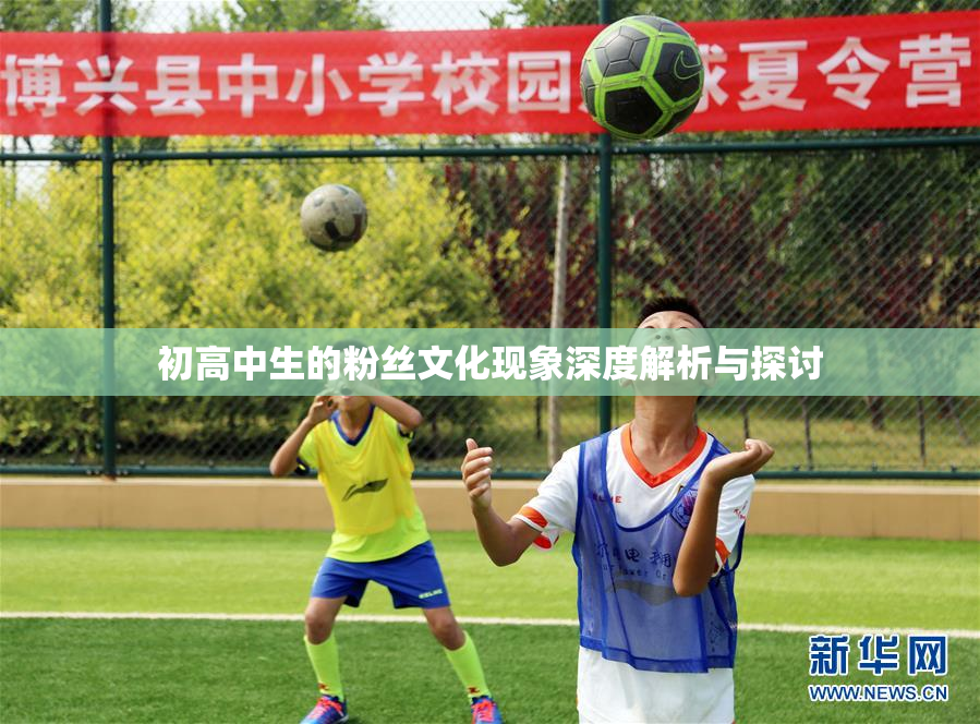 初高中生的粉丝文化现象深度解析与探讨