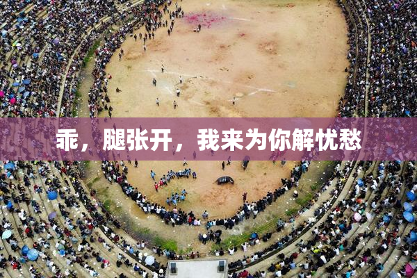乖，腿张开，我来为你解忧愁