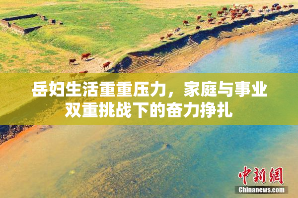 岳妇生活重重压力，家庭与事业双重挑战下的奋力挣扎