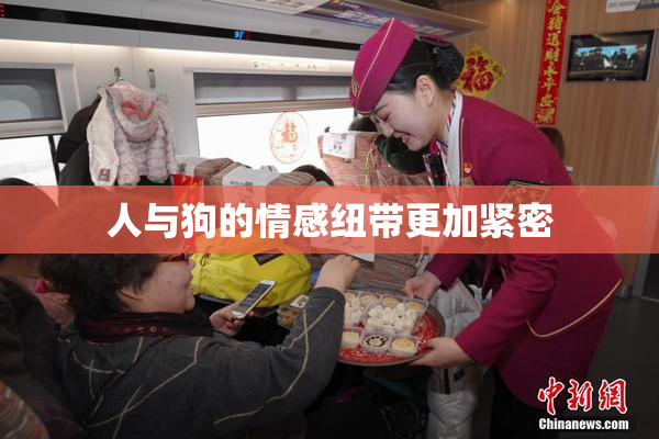 人与狗的情感纽带更加紧密