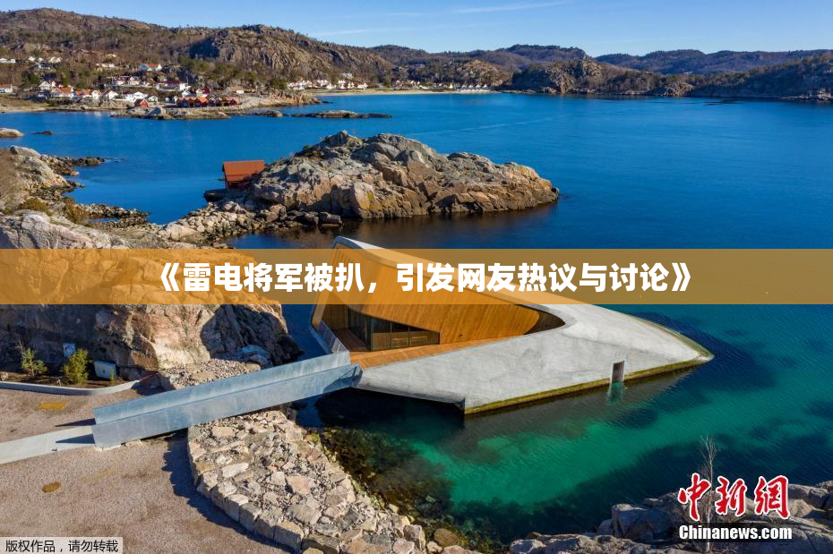 《雷电将军被扒，引发网友热议与讨论》