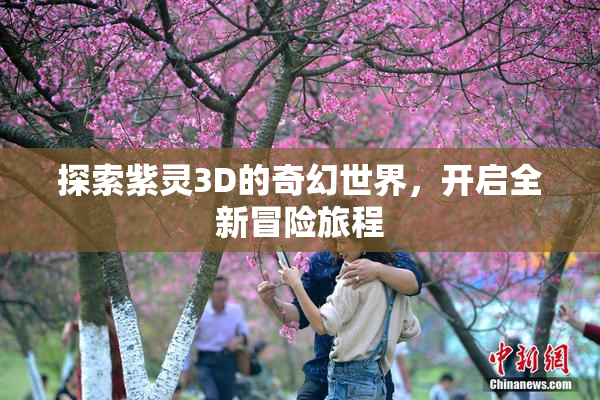 探索紫灵3D的奇幻世界，开启全新冒险旅程