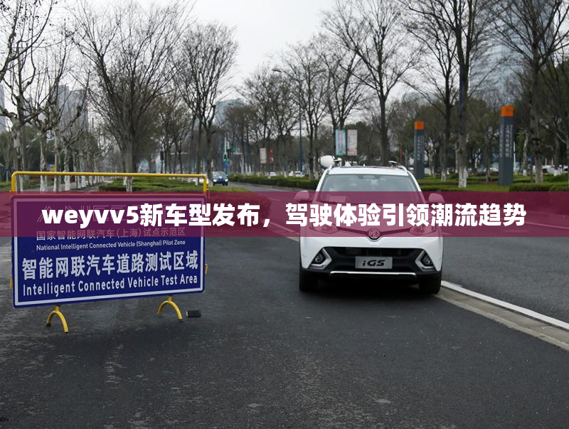 weyvv5新车型发布，驾驶体验引领潮流趋势