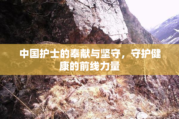 中国护士的奉献与坚守，守护健康的前线力量
