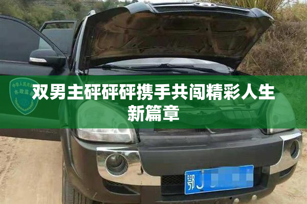 双男主砰砰砰携手共闯精彩人生新篇章