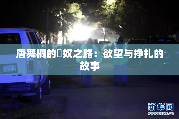 唐舞桐的婬奴之路：欲望与挣扎的故事